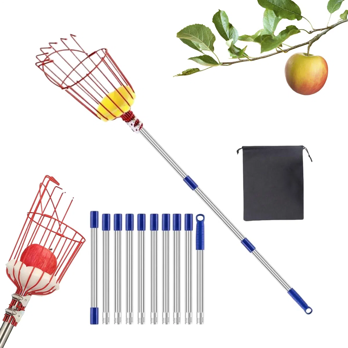 Recolector de Frutas | Recolector de Naranjas de 4 m con Mango Retráctil,Herramienta De Recolección Para Melocotones Granadas Peras Aguacates