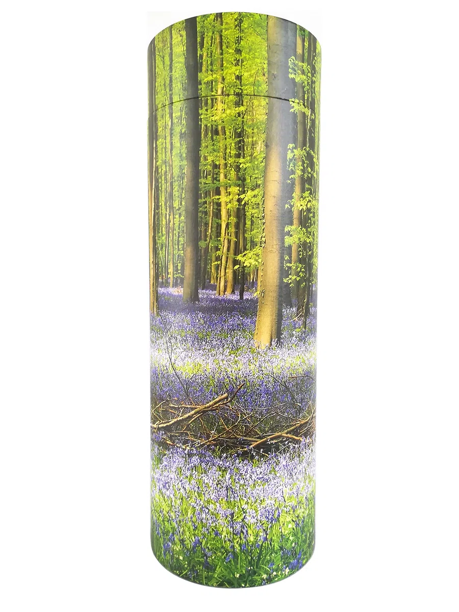 Bluebell Wood Tubos de dispersión para cenizas adultas – Urnas de cremación de cartón biodegradable (mediano)