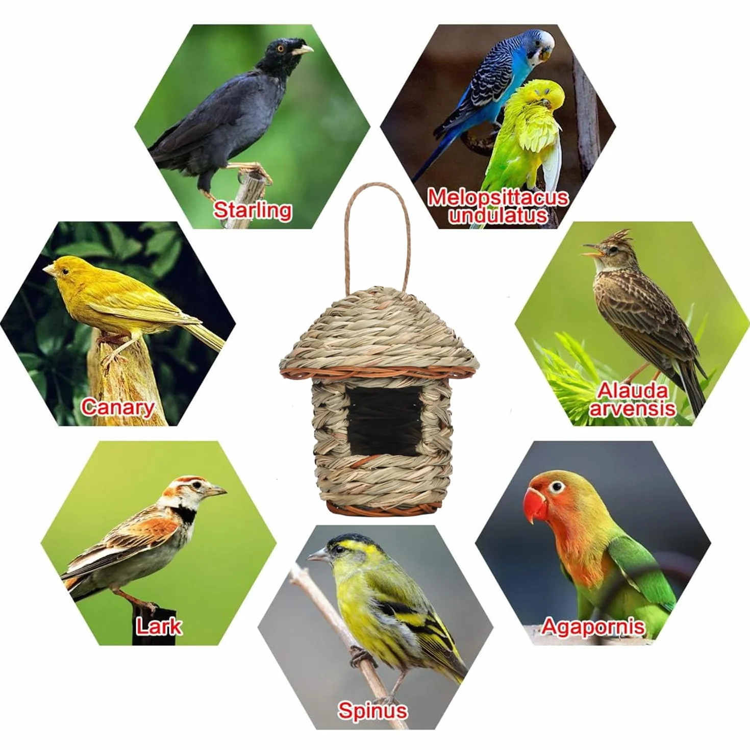 2 Piezas Nido Pajaro, Casita Pajaros Exterior, Nido Pajaros Tejidas a Mano, Nidos de Pajaro Exterior, Casa de PáJaros de Paja para Colibríes, Gorriones y Otras Aves Pequeñas