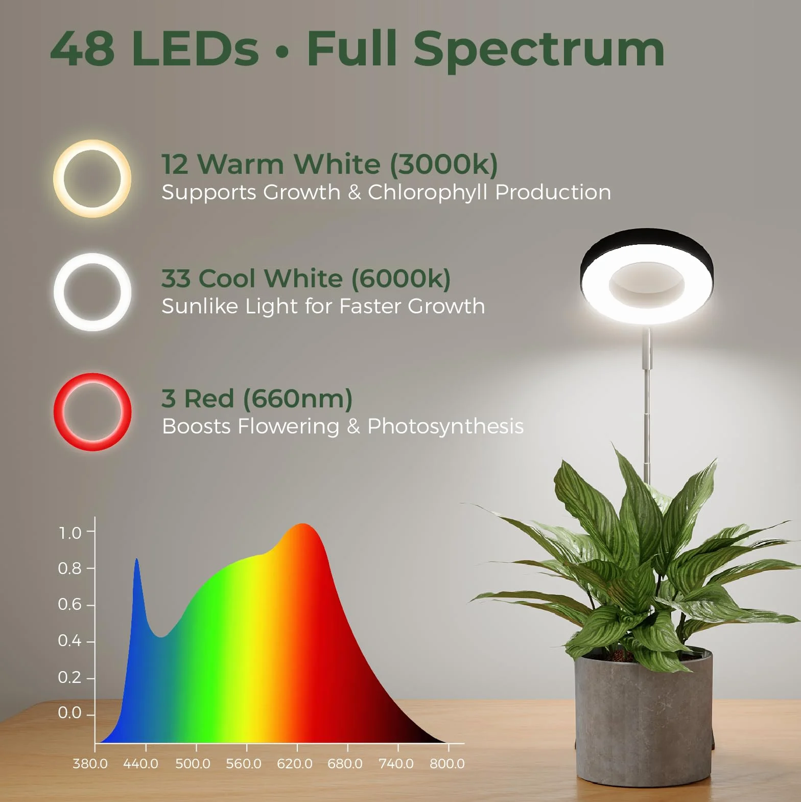 Bamworld luz crecimiento plantas interior LED espectro completo 8W con base luces de crecimiento para plantas anillo altura ajustable escritorio grow light luz para plantas interior