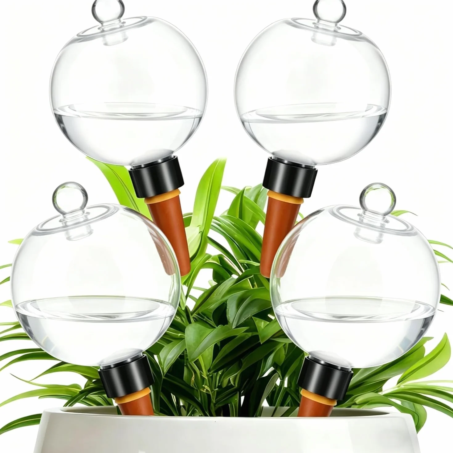Pipihome Globos de Riego de Plantas, Goteros de Riego de Plantas Arcilla con Cono de Goteo, 4 Pack Bolas de Riego para Plantas Transparente, Globi per Irrigazione Piante