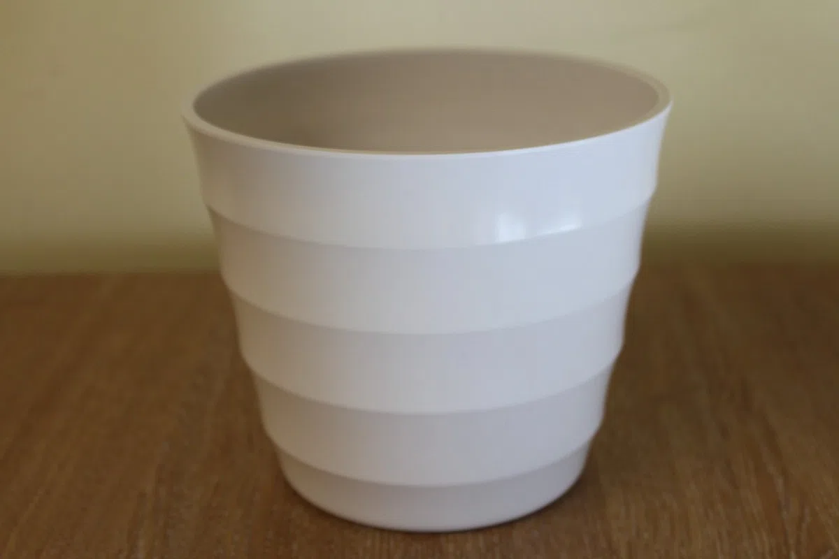 Planta de interior - Planta para la casa o la oficina - Monstera deliciosa - Planta del queso suizo - 45cms de alto en un palo con musgo