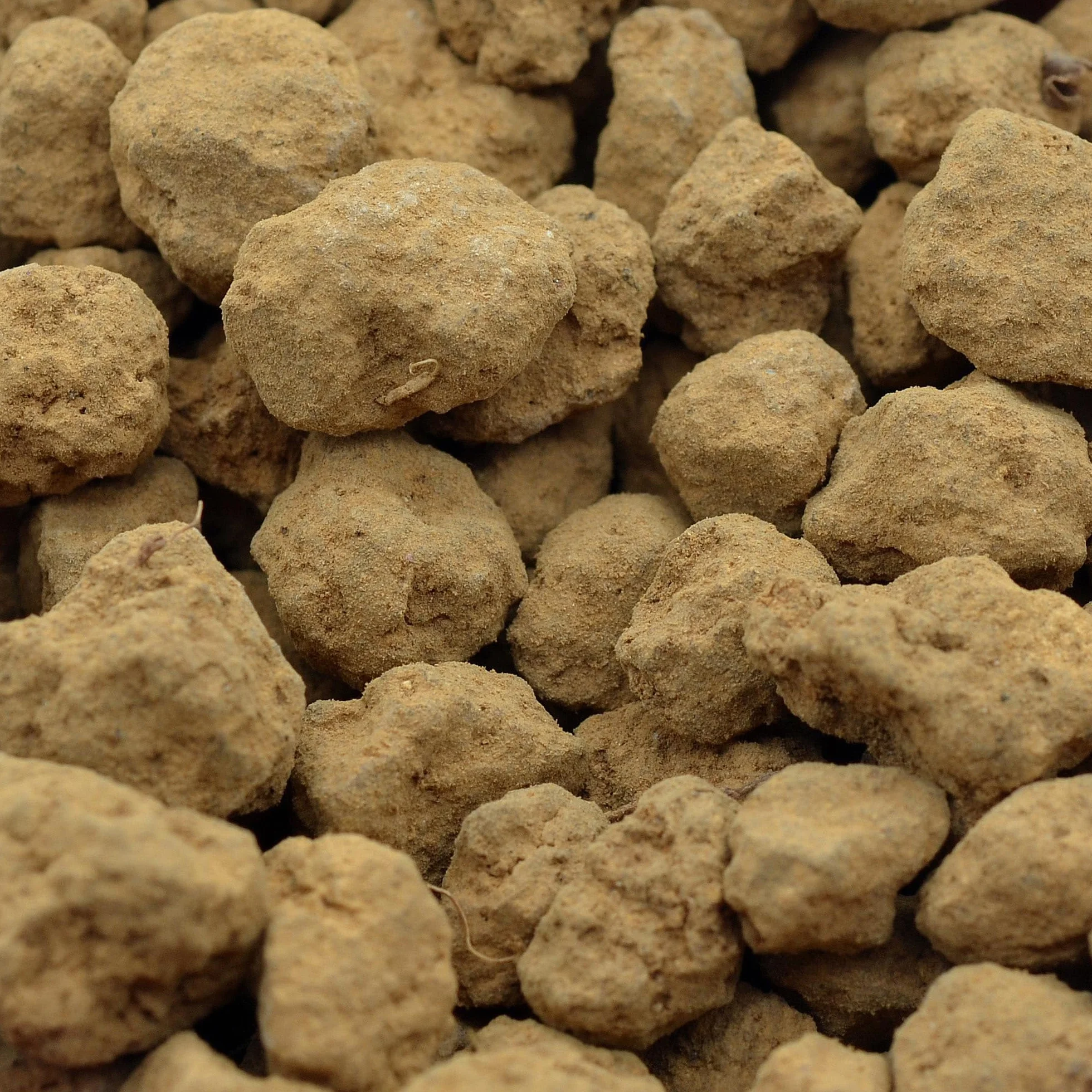 Kalapanta - Akadama HQ Ibaraki 1L Granulometría 2-5 mm - Granulado volcánico japonés Profesional de Calidad Dura para Plantas de bonsái Equilibrio Agua, Aire, nutrientes y minerales.