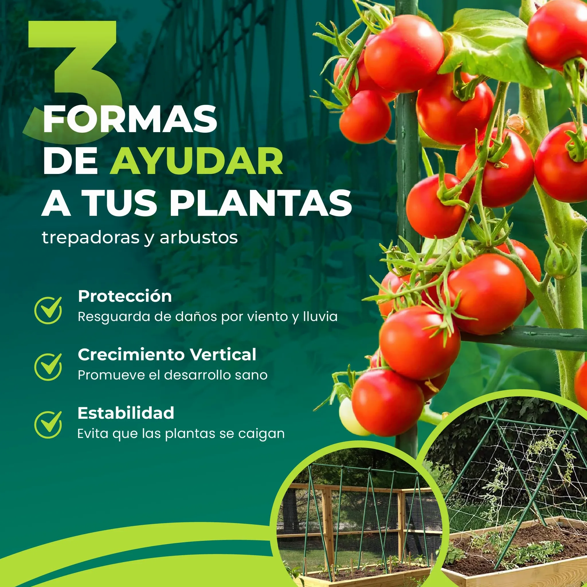 CONTROL GARDEN Pack 10 Tutores de Acero Plastificado para Plantas 150cm Ø 9 mm | Varillas Crecimiento Plantas | Soporte Cultivos Apto Interior y Exterior