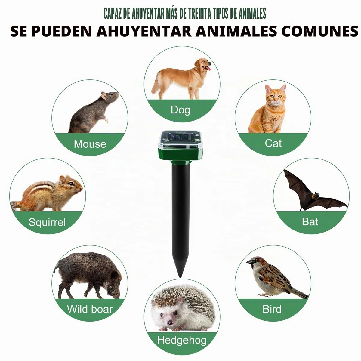 Aicharynic 4 Piezas Ahuyentador de Topos Solar, IP65 Repelente de Animales Solar Repelente de Topo Solar Repelente Ultrasónico de Ratones Ahuyentador Ratas para Jardin, Anti Topos, Serpientes, plagas