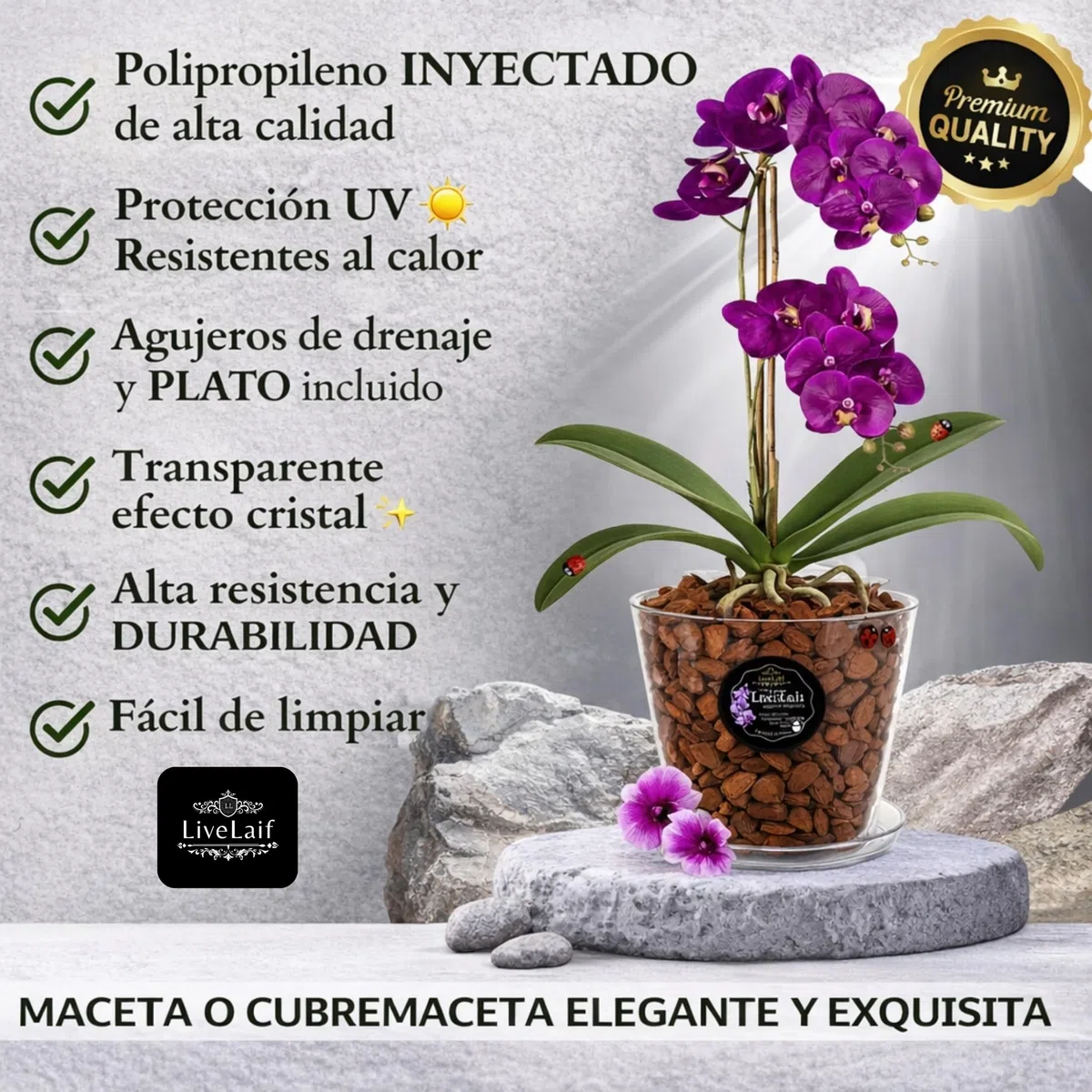 Maceta orquidea Transparente Redonda Tipo Oval Ø16 cm + Plato Transparente | Maceta Transparente orquidea con Agujeros Drenaje, Efecto Vidrio | Tambien como Cubremaceta | Hecha en España