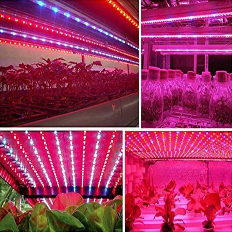 LED planta crecer tira luz DC 12V IP65 impermeable espectro completo SMD 5050 rojo azul 3: 1 cuerda luz para acuario Invernadero plantas