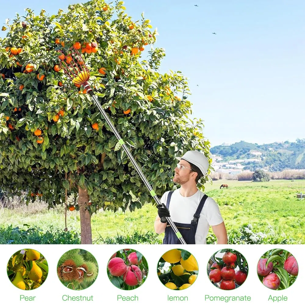 NAVESO Recogedor de Frutas, 4m Recoge Frutas Telescopico, Recogedor de Manzanas, Recoge Frutas de Árboles para Manzanas, Naranjas, Peras