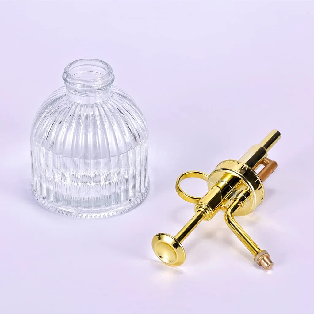 Eidoct Botella de spray de cristal Mister para plantas de vidrio, rociador de plantas pequeñas para plantas de interior y exterior, transparente+oro (transparente+oro A)