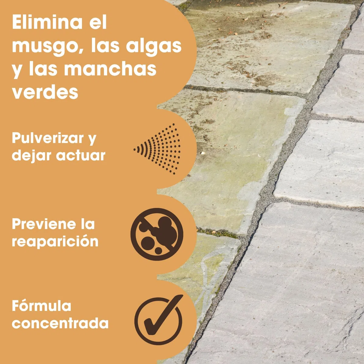 Furniture Clinic Removedor de crecimiento verde - Elimina todo el crecimiento verde de terrazas, vallas, patios, calzadas, techos y paredes