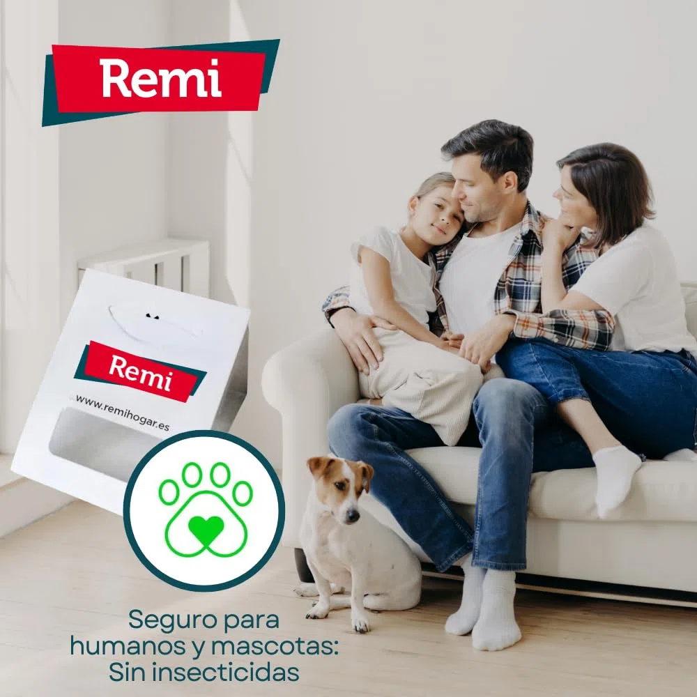 Remi Hogar Trampas Cucarachas Adhesivas | con atrayente alimenticio Natural | Sin pesticidas | Fácil instalación | Especial para cucaracha Alemana o del café (Trampas para cucarachas, 30, Unidades)