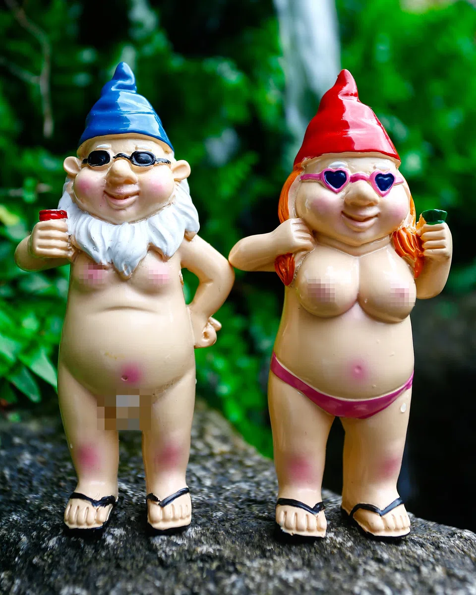 Gnomos de Jardín Divertidos, 2 Unidades, Adornos al Aire Libre, Estatua de Gnomo Travieso, Regalos Groseros