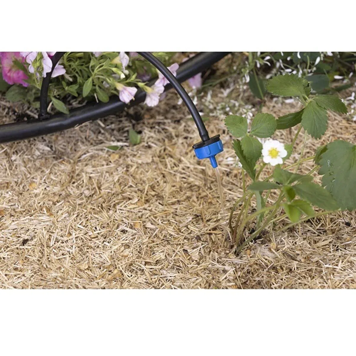 GNCGarden [Pack 500] Gotero autocompensante 8 L/h. Gotero para riego agricola y jardineria. Gotero pinchado Desmontable Apto para microtubo. Presión Trabajo 1 a 3 Bar | Incluye Membrana nítrica
