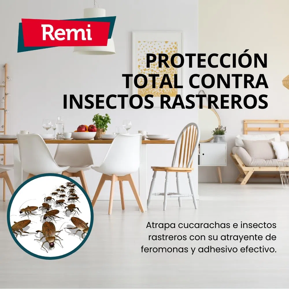 Remi Hogar Trampas Cucarachas Adhesivas | con atrayente alimenticio Natural | Sin pesticidas | Fácil instalación | Especial para cucaracha Alemana o del café (Trampas para cucarachas, 30, Unidades)