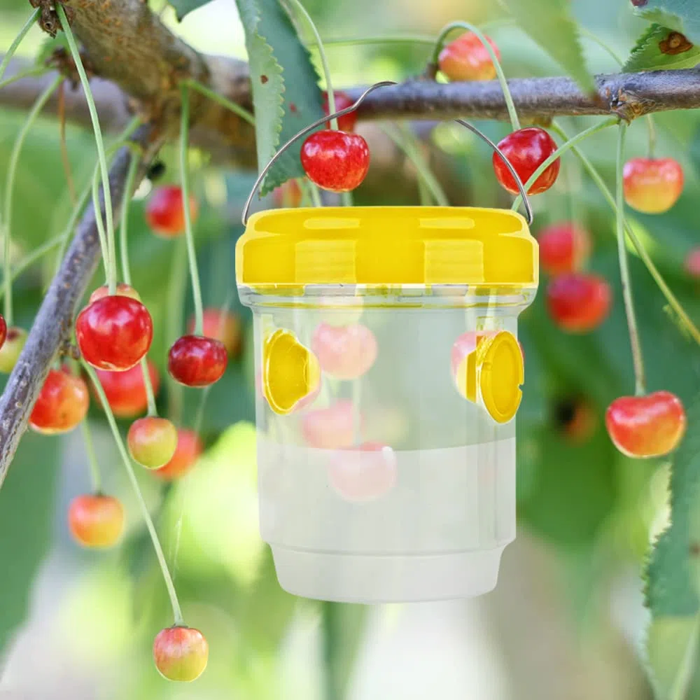 4 Piezas Trampa Avispas Exterior Jardin Balcon, Trampa Avispas Asiaticas, Trampa Botella Redondo Para Moscas Fruta Drosófila Mosquitos Insecto, Para Atrayente Cebo Liquido Colgante Reutilizable