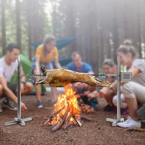 Barbacoa eléctrica giratoria con 2 agujas de carne para actividades al aire libre, camping, picnics, fiestas, 15 W, 220 V