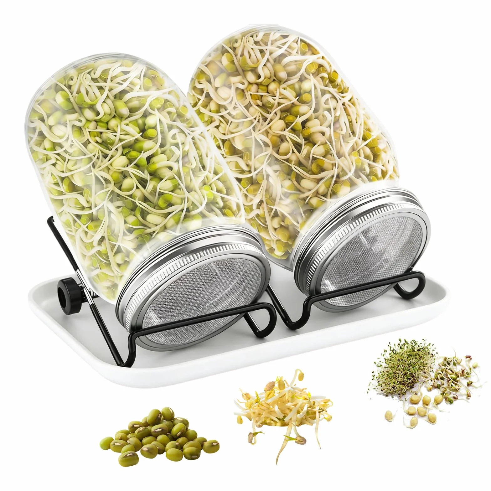 Kit de Tarros de Germinación, Kit de Brote de Semilla con 2X 750ml Frascos de Germinación, 2X Soporte, 1x Bandeja,2 Filtros de Acero Inoxidable, para Cría de Brotes