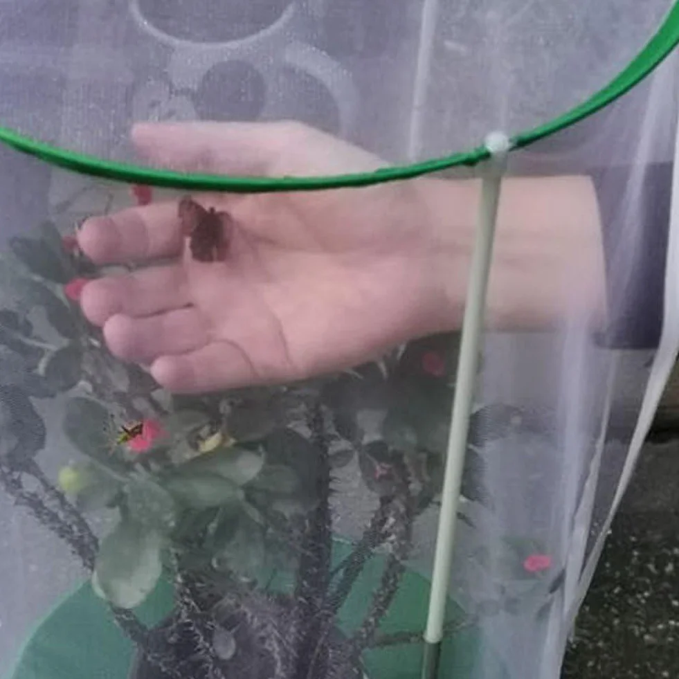 Kit De Jardín De Mariposas para Hábitat De Mariposas E Insectos, Jaula Grande para Hábitat De Mariposas, Red Plegable para Insectos, Casa para Mariposas De 30x40cm