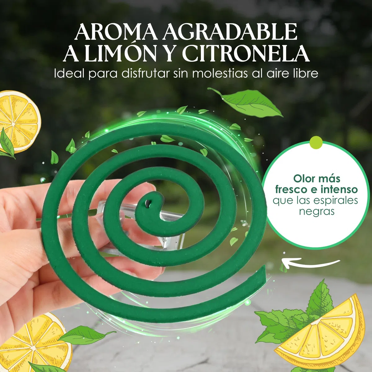 Espirales Antimosquitos y Quemador de Incienso de Ceramica Citronela Antimosquitos, Incienso Antimosquitos Exterior Espirales de Incienso con Soporte: Patio, Terraza, Camping o Interior (20Espirales)