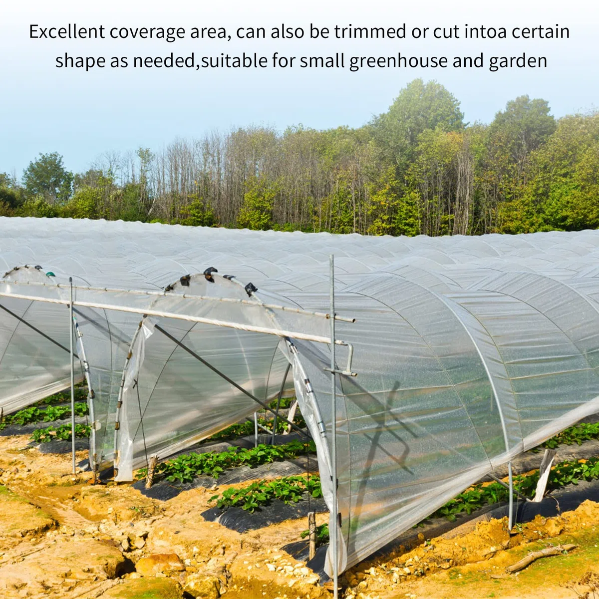 3x6m Transparente Película de Polietileno,Cubierta Invernadero Plastico,Película de Invernadero supergruesa,Película de Invernadero Cubierta de plástico,para Jardinería,Agricultura