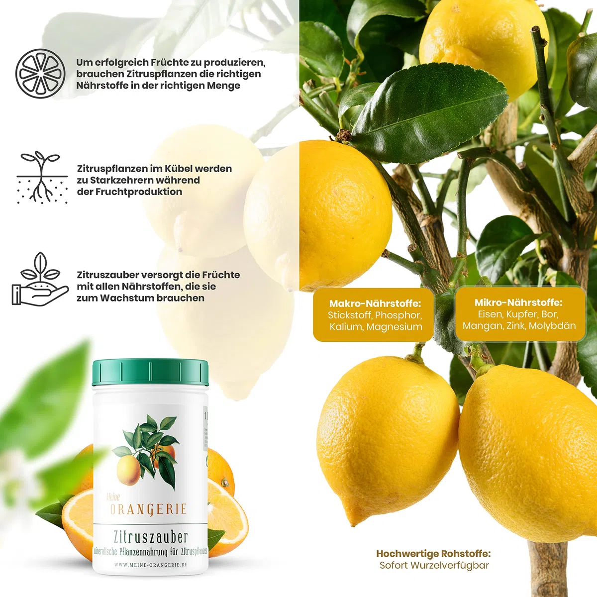 Meine Orangerie Fertilizante cítrico para todas las plantas cítricas [1 kg] – Abono para plantas premium – Fertilizante profesional cítrico para limonero, naranjo, lima y muchos más (1000 gramos)