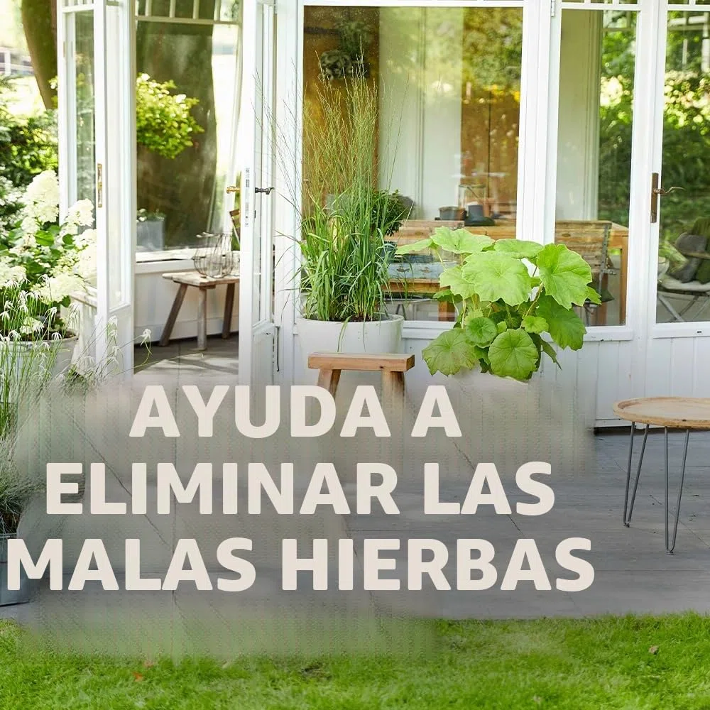 COMPO Vinagre ecológico para eliminar malas hierbas, 100% natural, 3 L para 500 m2, amarillento