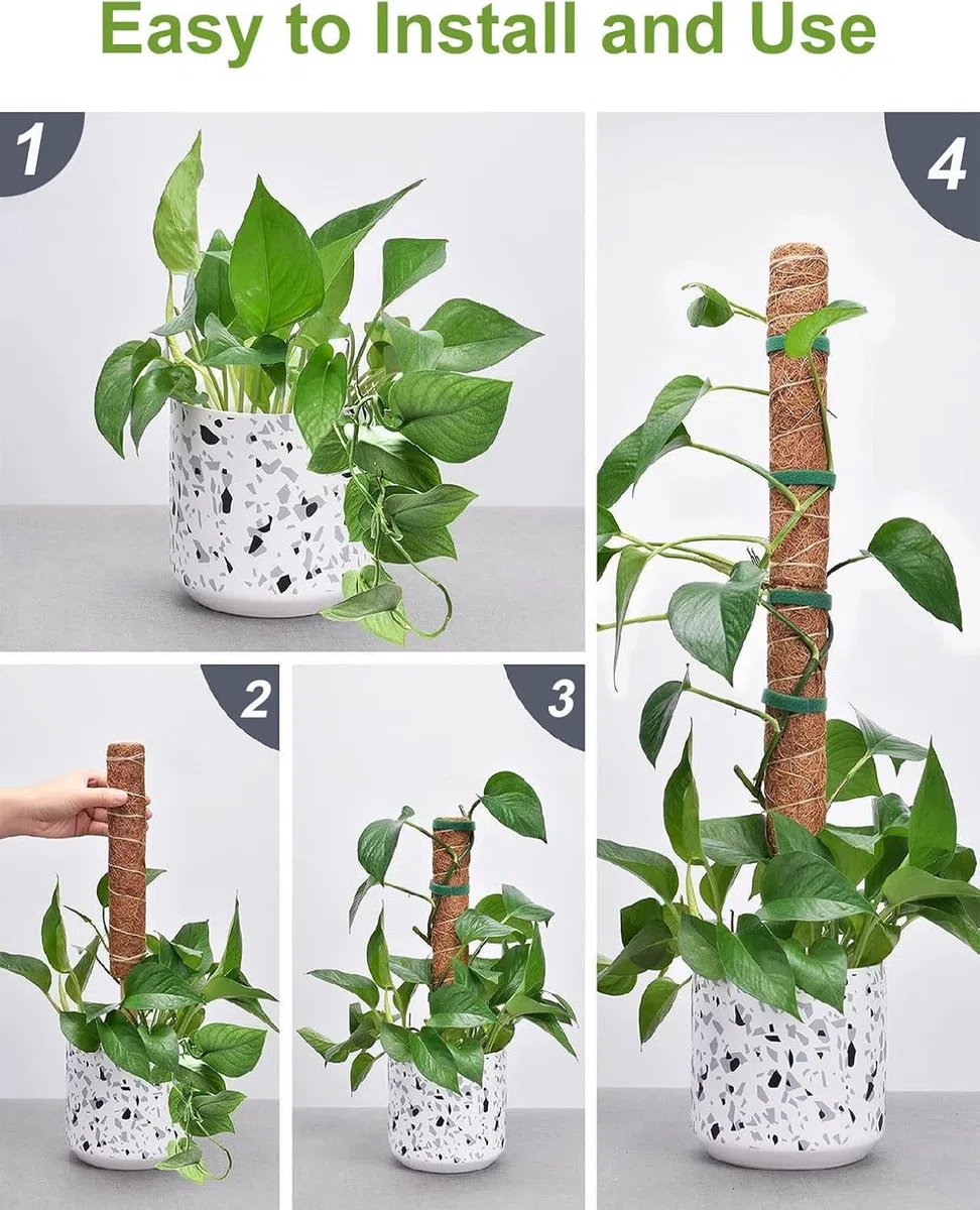 Poste de Musgo de 30 cm, 5 Piezas Tutores para Plantas Trepadoras Fibra de Coco Soporte para Plantas en Maceta, Postes Apilables para Plantas Trepadoras de Interior, Hiedra y Pothos