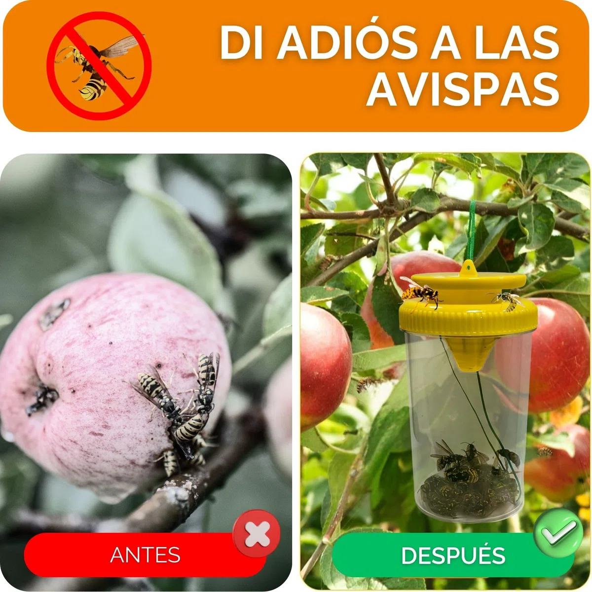 IAMI 2X Trampa para Avispas y Moscas para Exteriores – Reutilizable con Entrada en Embudo – Uso Exterior en Jardín, Terraza o Balcón