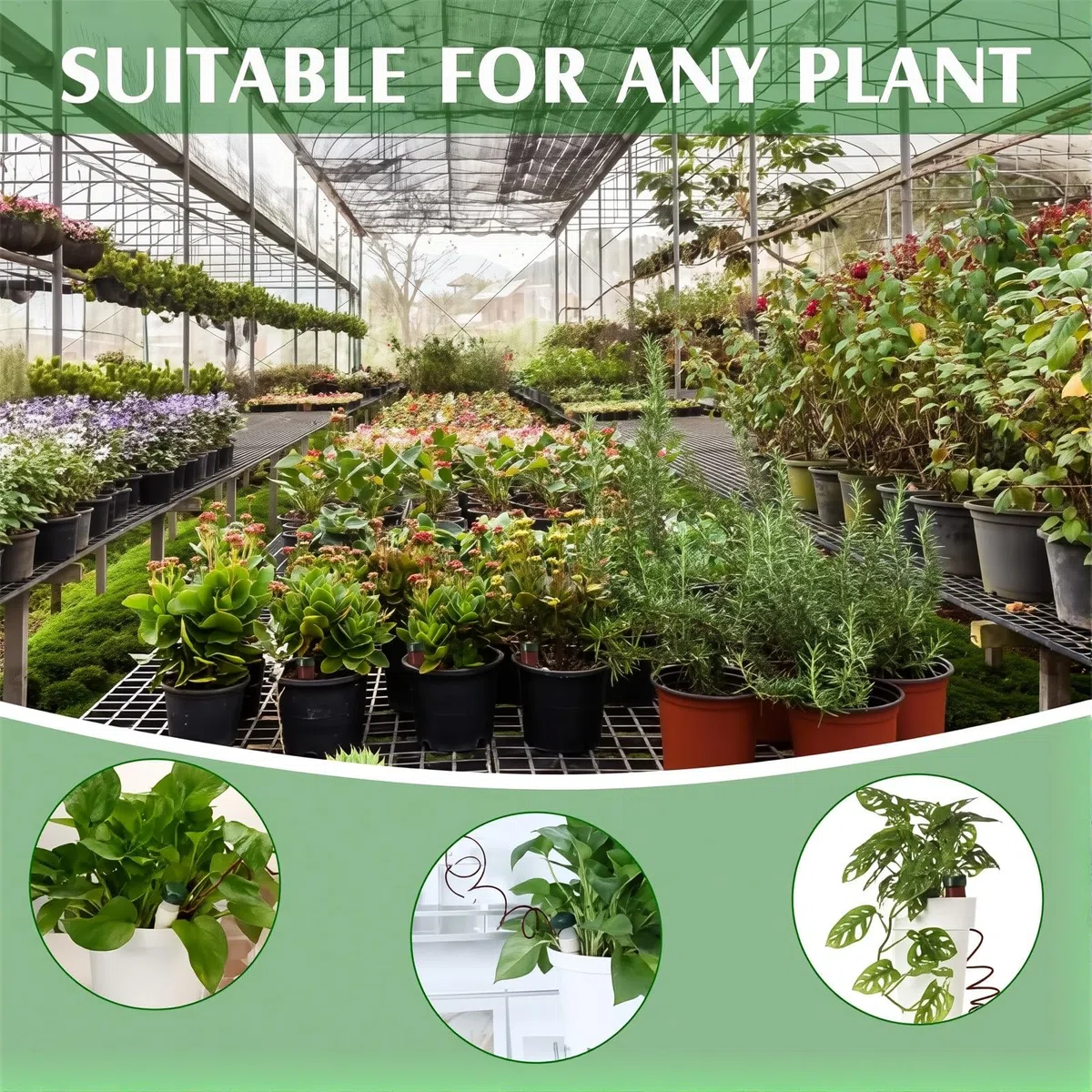8 Piezas Picos Riego Plantas, Globos de Riego Automático para Plantas, Sistema de Riego por Goteo, Set Autorriego para Macetas, Bolas de Riego para Plantas de Interior y Exterior