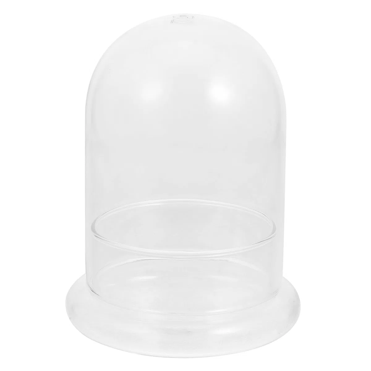 YARNOW CúPula De Cristal Pequeña - Terrario Plantas Campana, Ideal para Decorar Hogar, Oficina Y Regalos Creativos