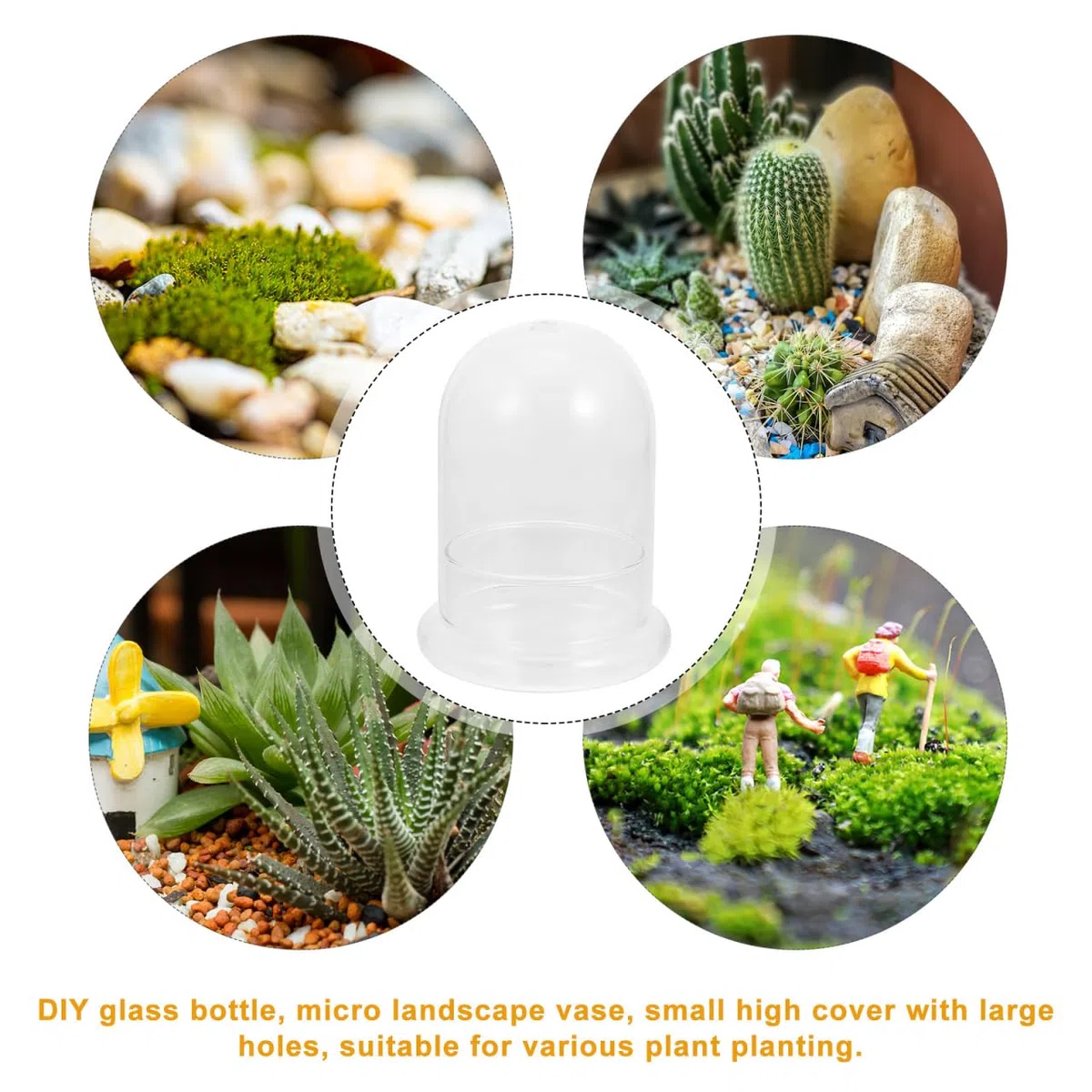 YARNOW CúPula De Cristal Pequeña - Terrario Plantas Campana, Ideal para Decorar Hogar, Oficina Y Regalos Creativos