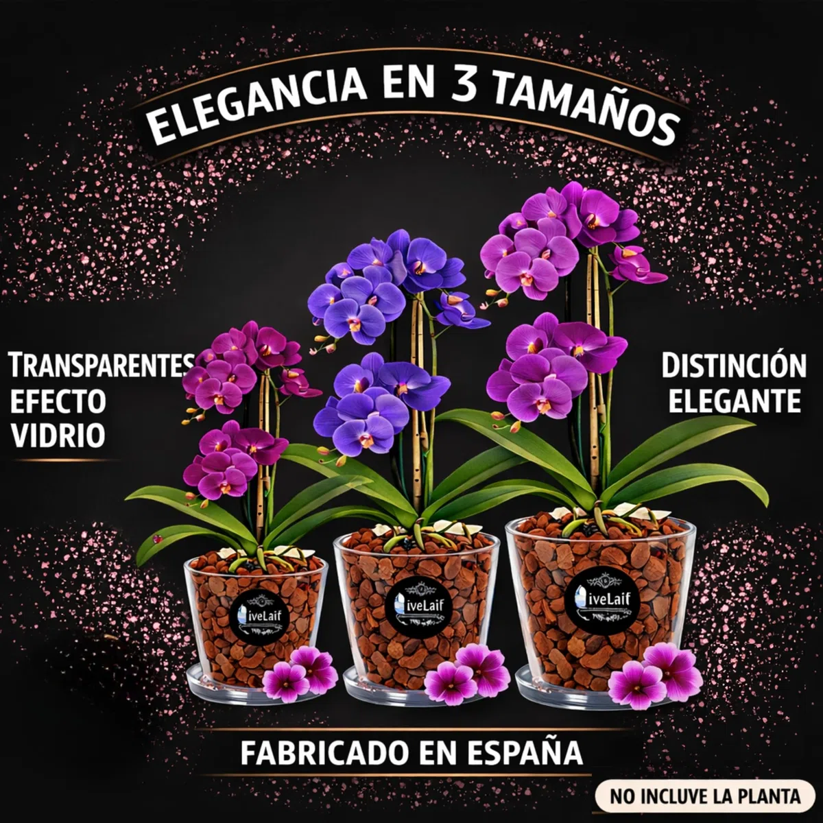 Maceta orquidea Transparente Redonda Tipo Oval Ø16 cm + Plato Transparente | Maceta Transparente orquidea con Agujeros Drenaje, Efecto Vidrio | Tambien como Cubremaceta | Hecha en España