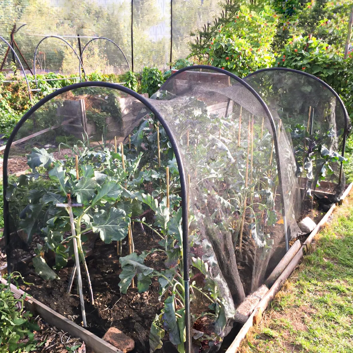 3 x 6m Malla Anti Mosquitos,Tela para Mosquitera, Red Antimosquitos Barrera para Mosquito Moscas Insecto y Pájaros para Jardín, Patio, Cenador, Piscinas y Protección de Plantas(Negro)