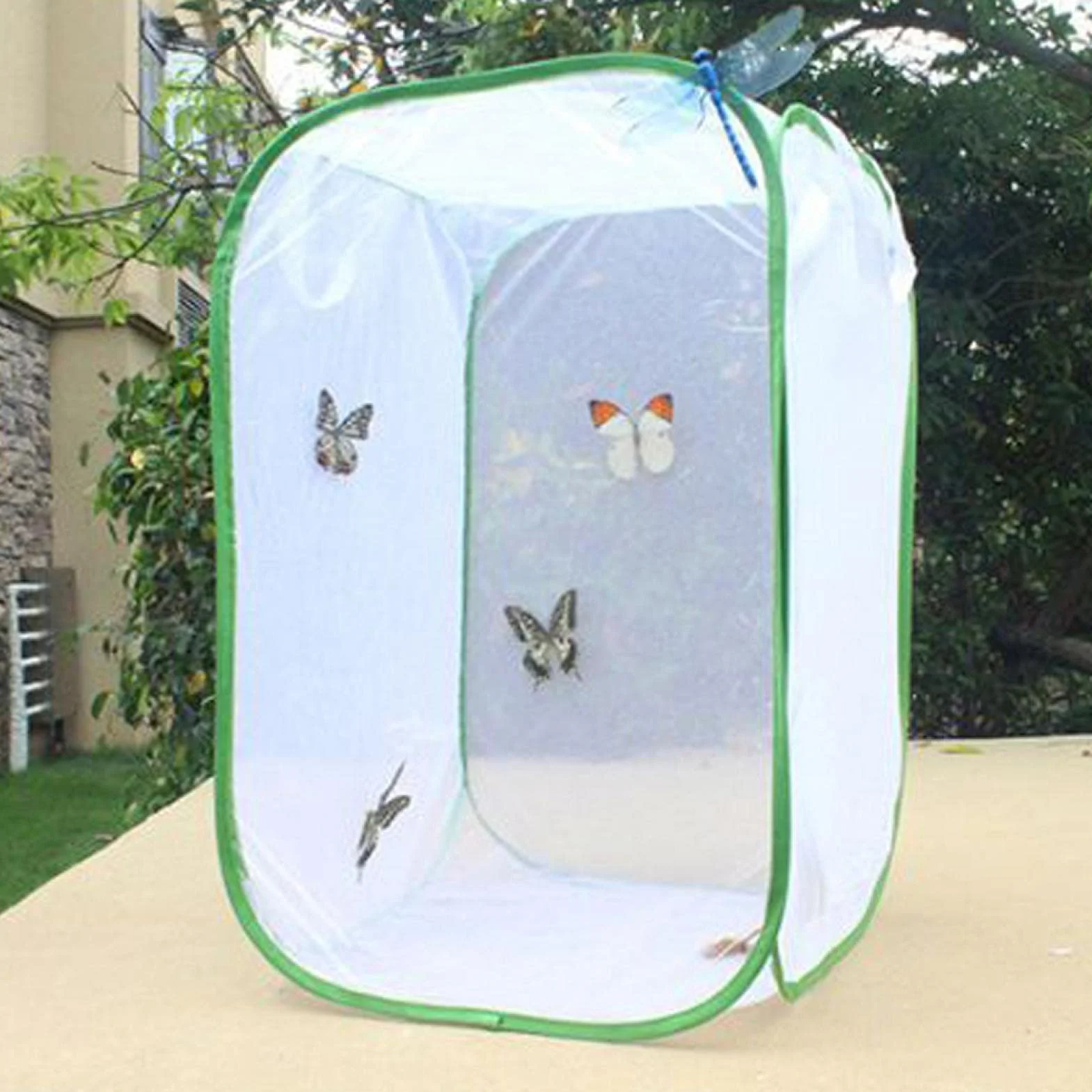 Kisbeibi Jaula de insectos translúcida red mariposa hábitat jaula planta invernadero tienda plegable protección jardín mariposa (tamaño: M,15,74 x 15,74 x 23,62 pulgadas)