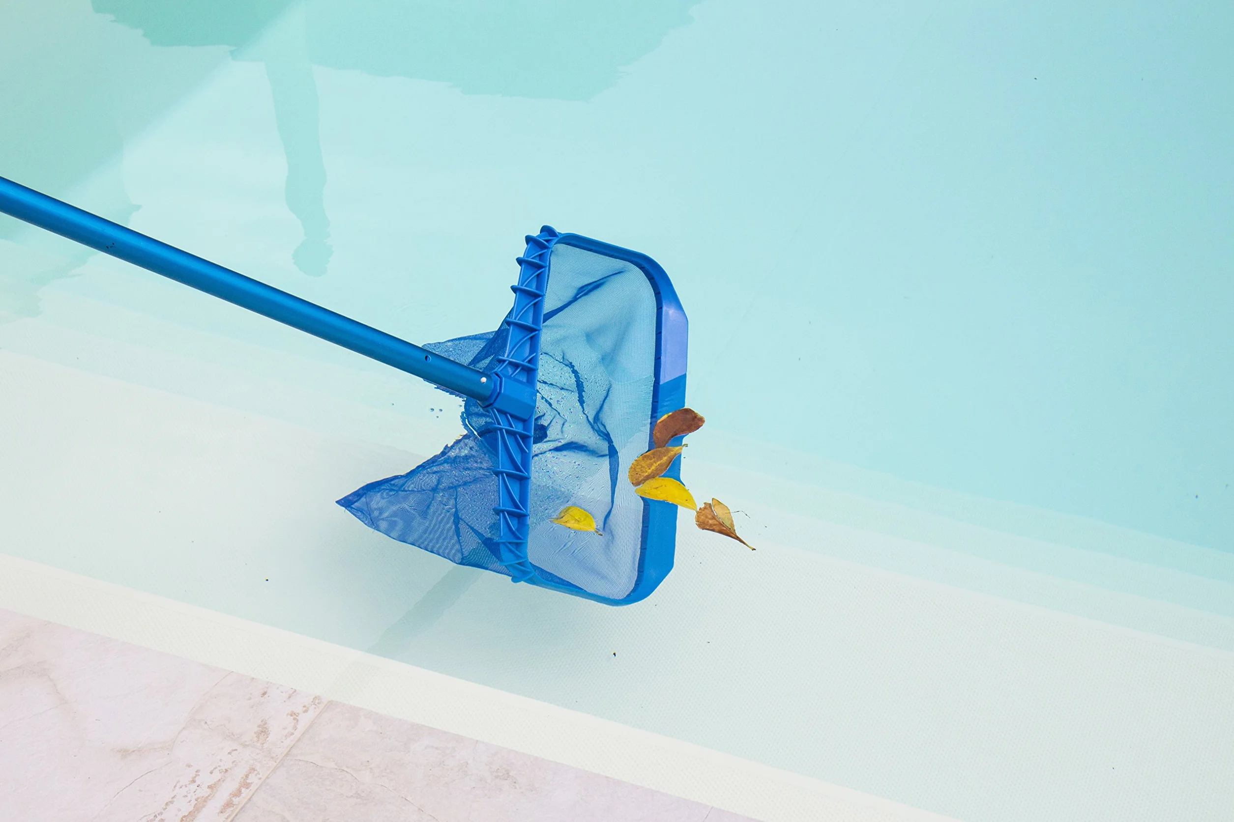 Steinbach 61115 - Recogehojas para piscina (estructura de plástico reforzado, compatible con mango telescópico)