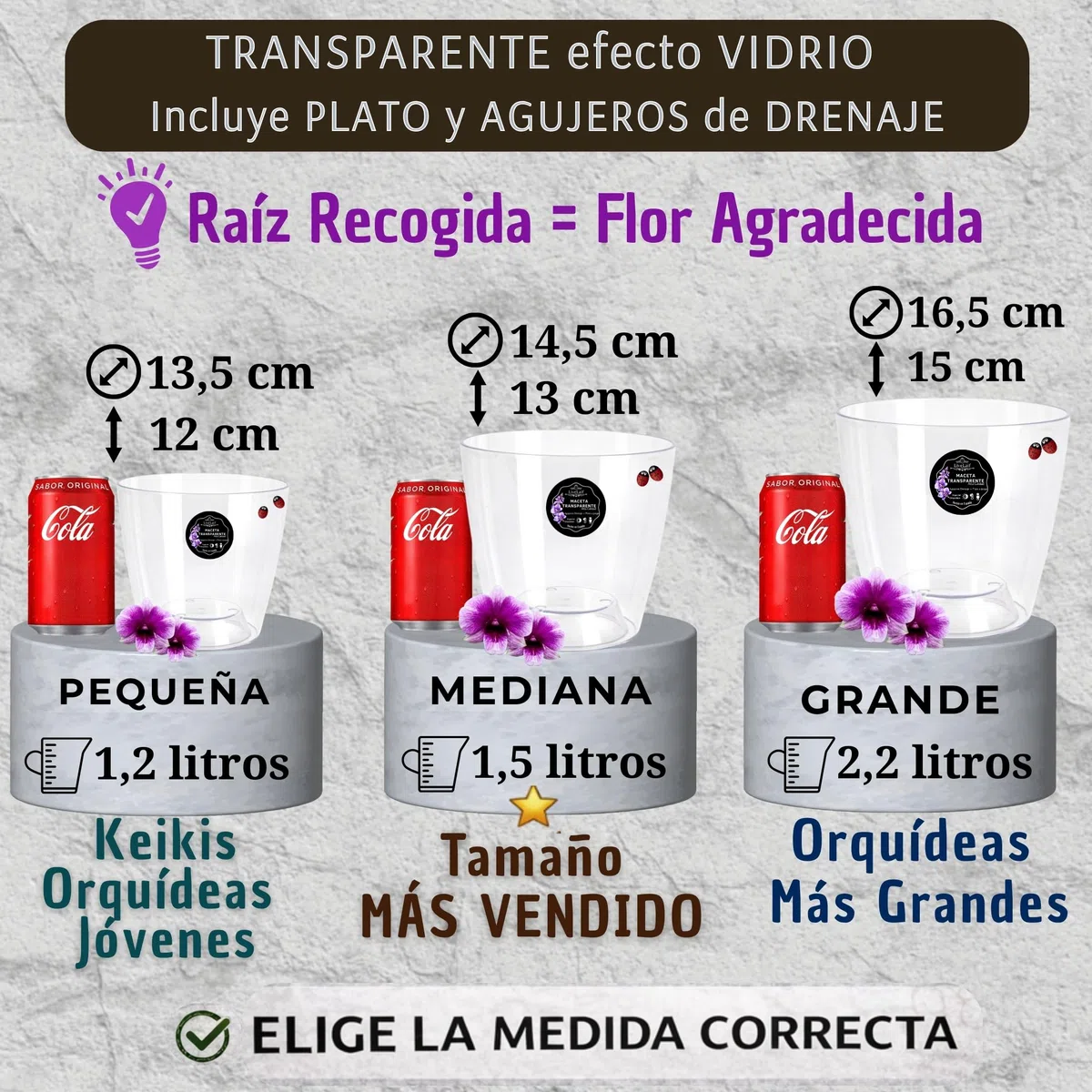 Maceta orquidea Transparente Redonda Tipo Oval Ø16 cm + Plato Transparente | Maceta Transparente orquidea con Agujeros Drenaje, Efecto Vidrio | Tambien como Cubremaceta | Hecha en España