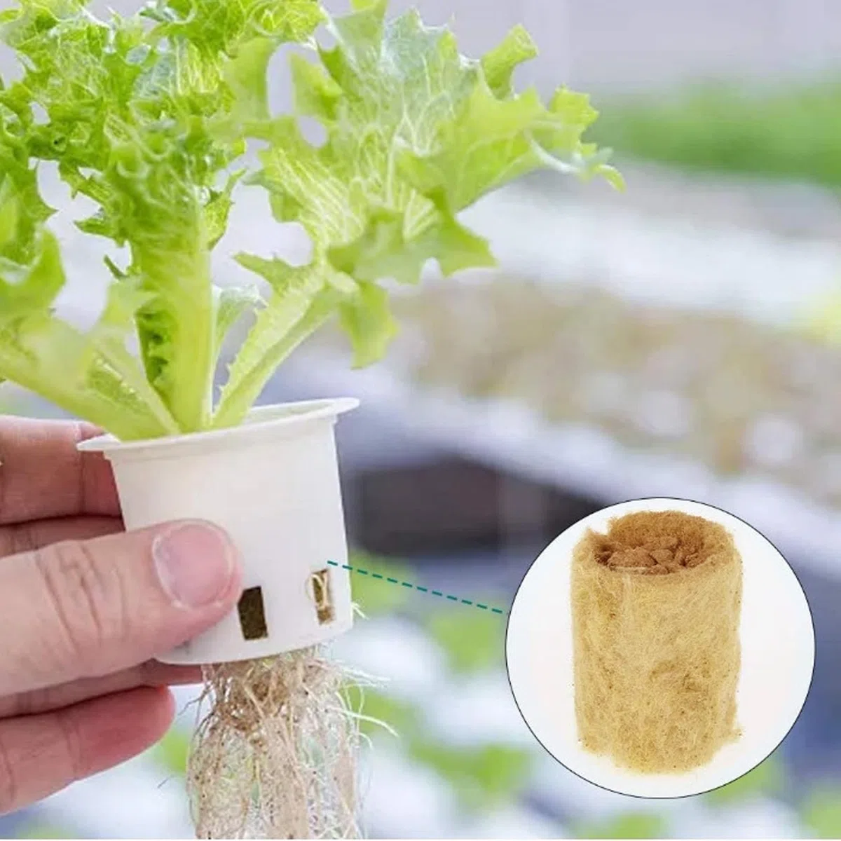 Tapones de Plantas de Lana de Roca 50 Piezas Lana de Roca de Cultivo Hidropónico Tapones de Arranque de Lana de Roca Tapones de Plantas de Lana de Roca Hidropónicos Cubos de Lana de Roca