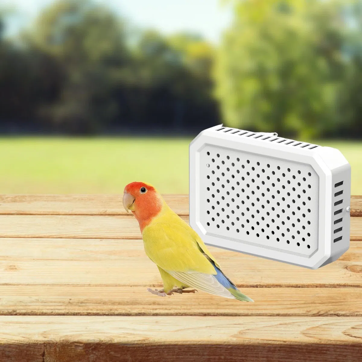 Harilla Calentador para Jaulas de Pájaros, Equipo de Calentamiento Invernal, Dispositivo de Calentamiento único, Fácil de Instalar, Sin Luz, para Y P