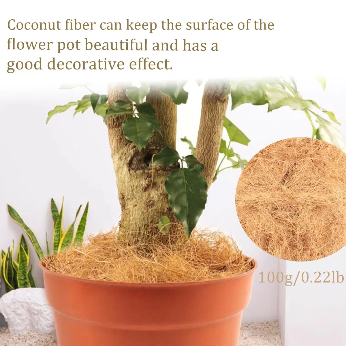 Mantillo de fibra de cáscara de coco largo para orquídeas, cubierta de musgo de cáscara de coco limpia, 0.25 libras