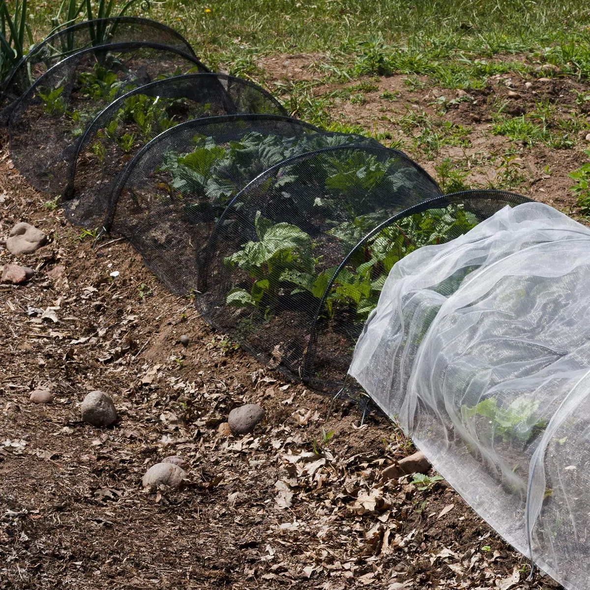 Zonon Red de Malla para Insectos para jardín, Barrera para pájaros, Caza, protección ciega de Plantas (Negro, 10 x 32.8 pies)