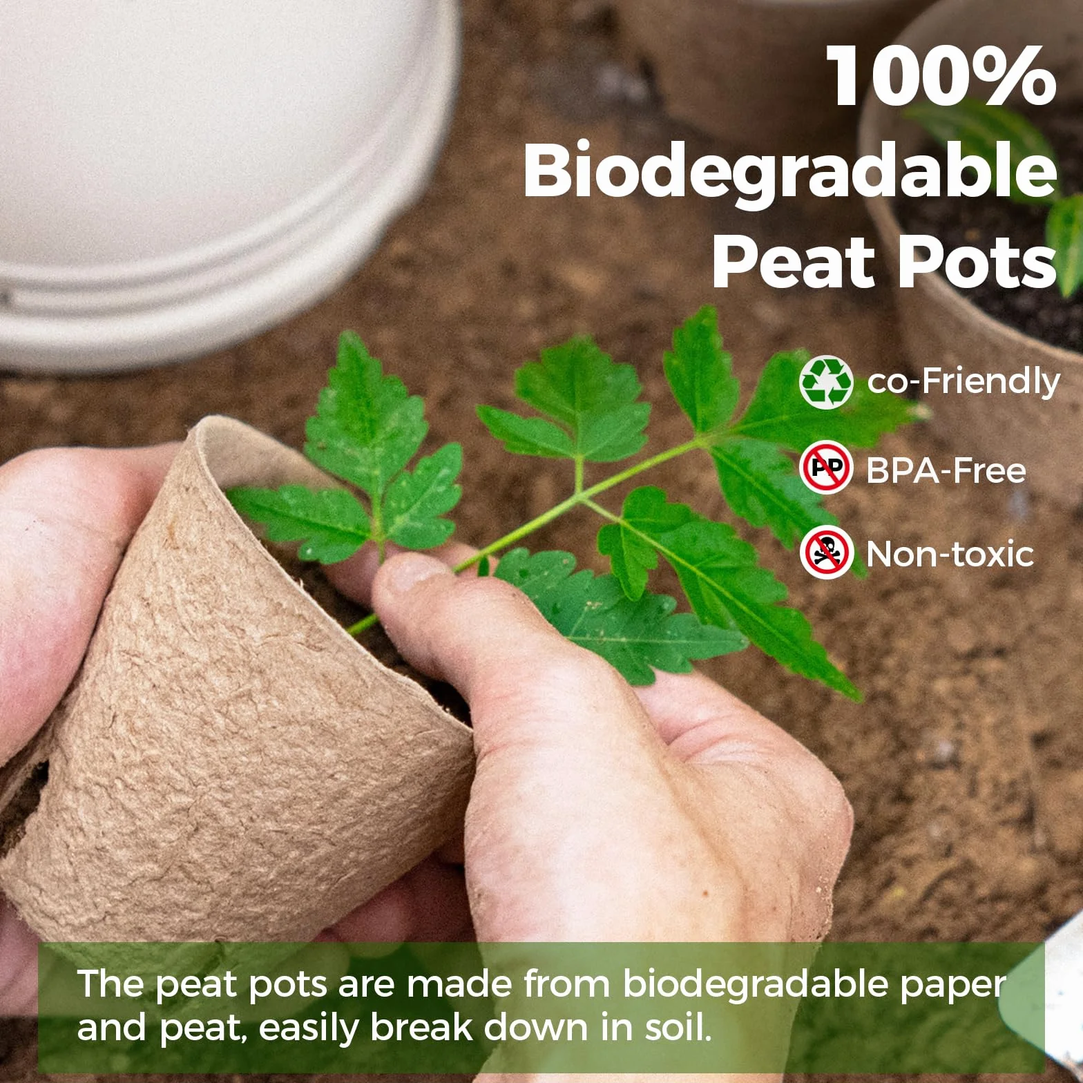 Bamworld 100 Macetas de Vivero con Drenaje, 8cm Macetas Biodegradables, Macetas Ecológicas para Siembra y Propagación