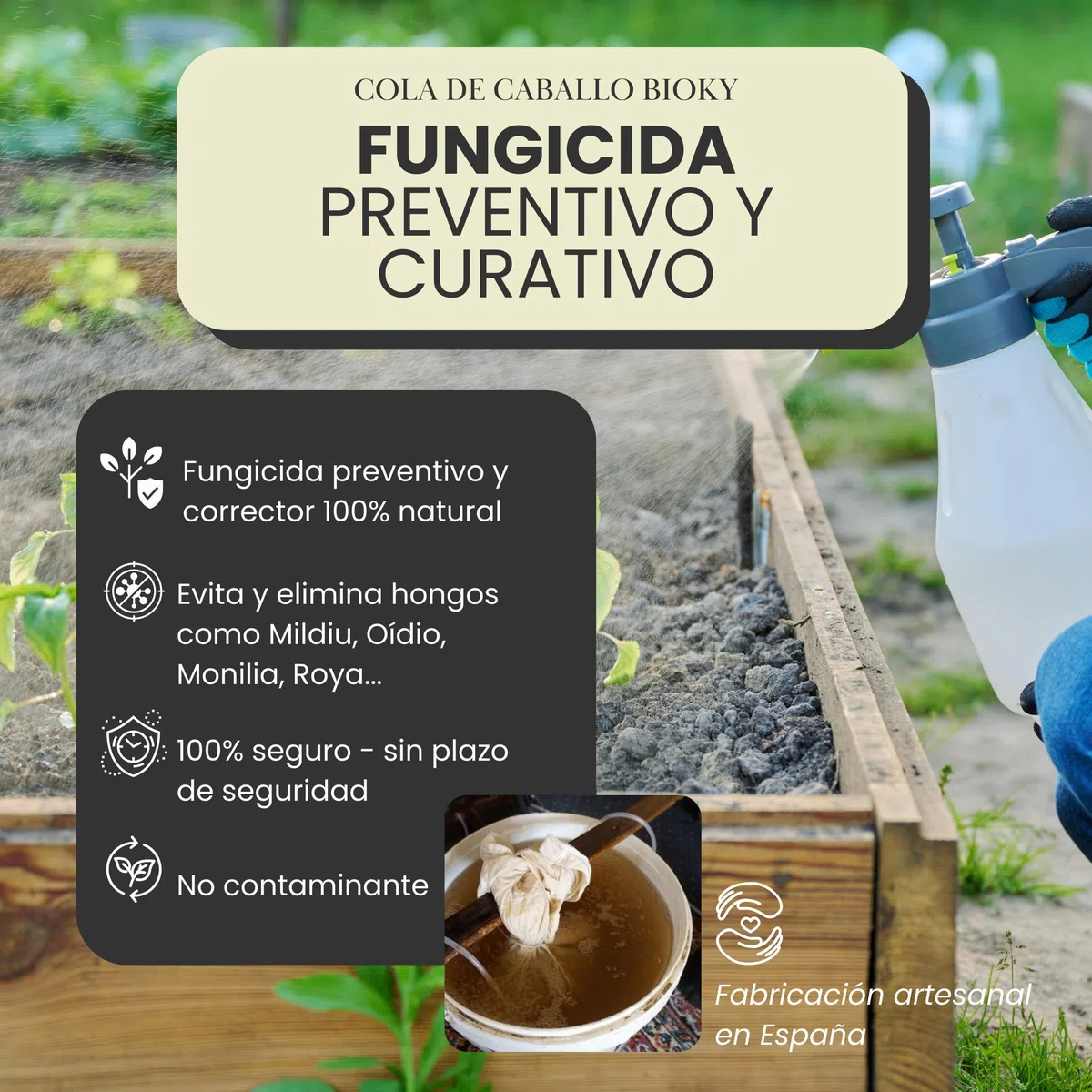 Cola de Caballo Fungicida 5L – Preventivo y Curativo para Plantas - Muy Concentrado 30ml/L – Bioestimulante Plantas de Interior y Huerto Urbano – Controla Hongos como Mildiu, Oídio (5L)