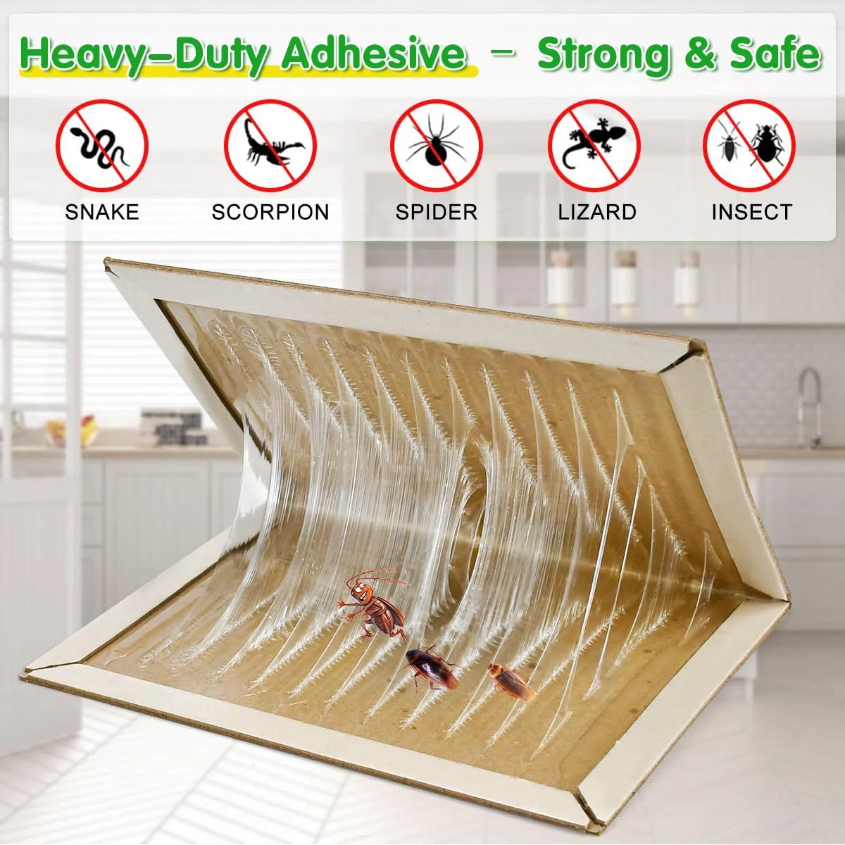 Kakerlake klebt Brett,10PCS Trampa para Cucarachas, Trampas Cucarachas Cucal Adhesivas, Trampa para Hormigas, Almohadillas Adhesivas de Placa para Eliminar Cucarachas para Cocina Dormitorio