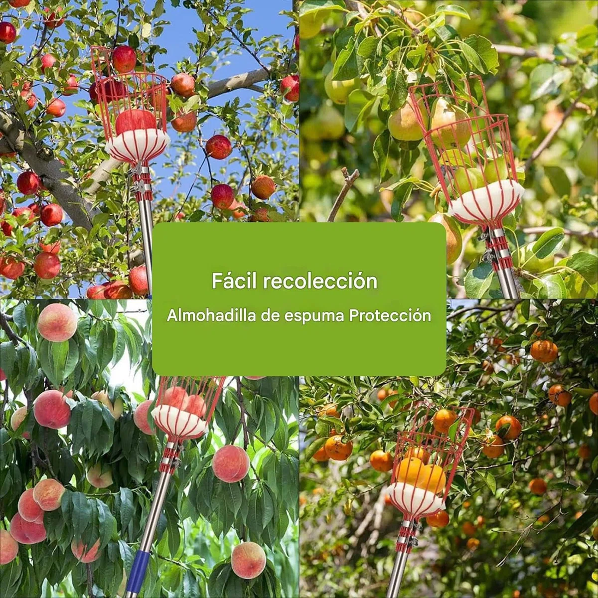 Recolector de Frutas | Recolector de Naranjas de 4 m con Mango Retráctil,Herramienta De Recolección Para Melocotones Granadas Peras Aguacates