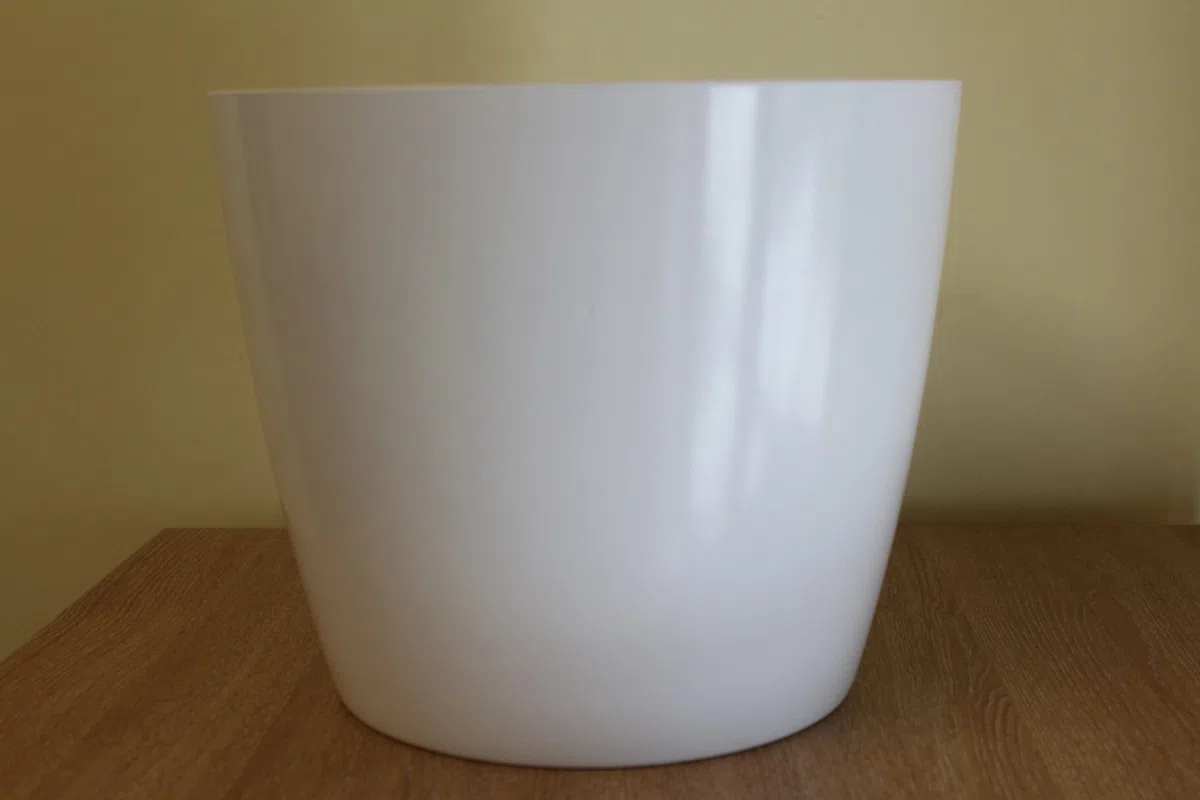 Planta de interior - Planta para la casa o la oficina - Monstera deliciosa - Planta del queso suizo - 45cms de alto en un palo con musgo