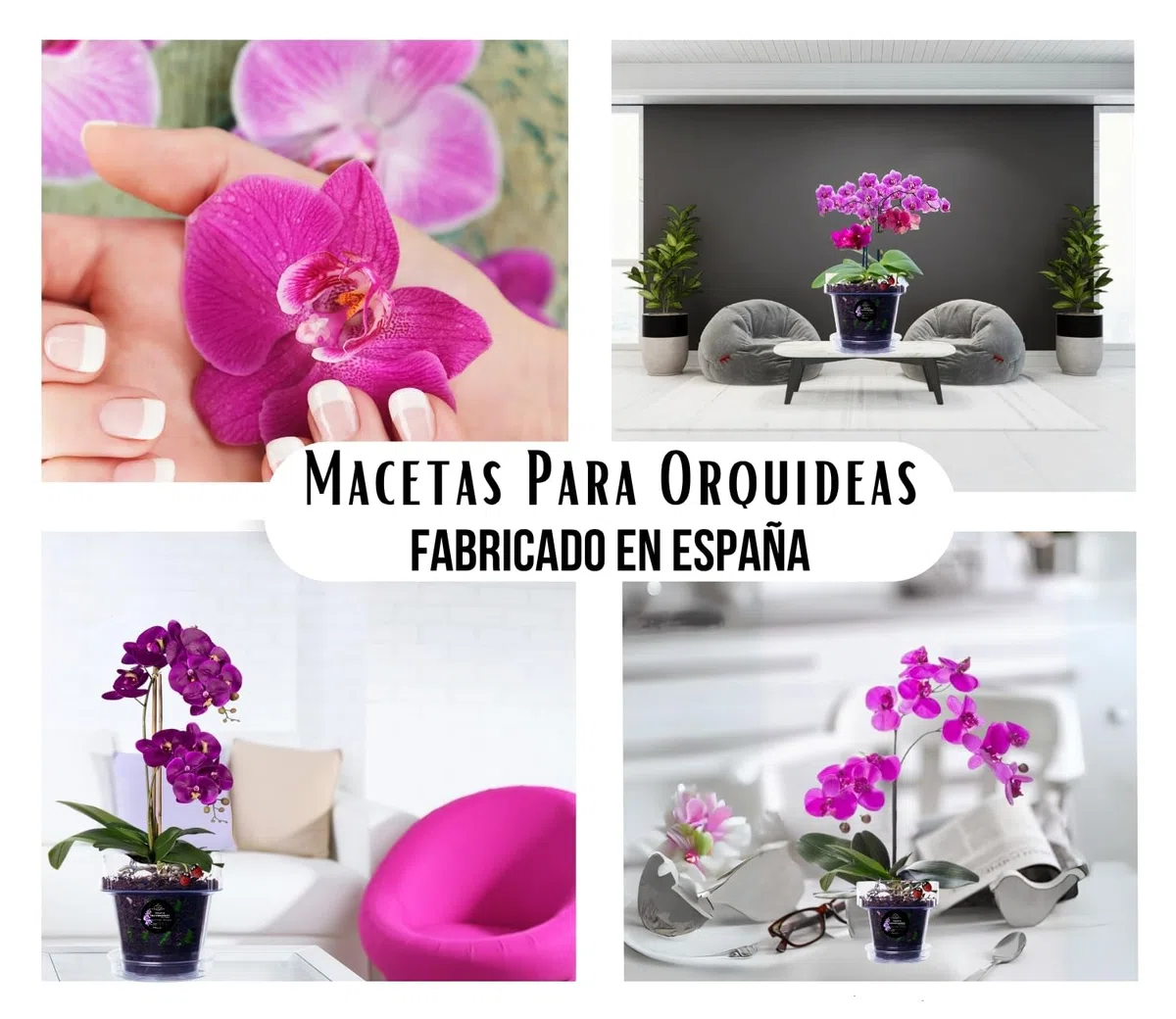 Maceta orquidea Transparente Redonda Ø17 cm + Plato | Maceta Transparente orquidea | Agujeros Drenaje, Efecto Vidrio | Maceta para orquídeas | Hecha en España-Modelos a Elegir