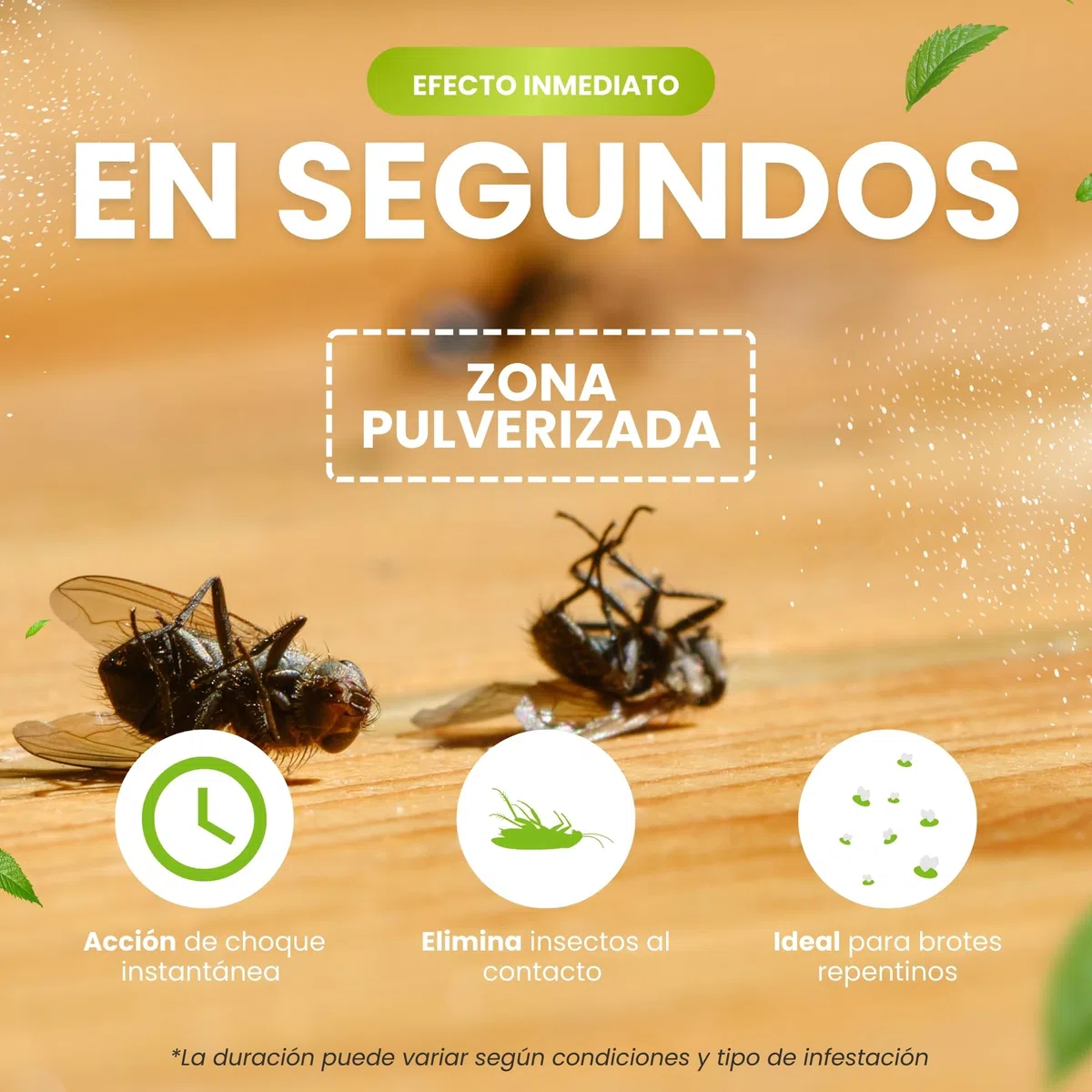 Insecticida Concentrado 250 ml + Trampas Adhesivas XL para Cucarachas e Insectos | Cipermetrina 9,3% | Acción Inmediata y Prolongada | Adhesivo Extra Fuerte | Control Integral Hogares y Exteriores