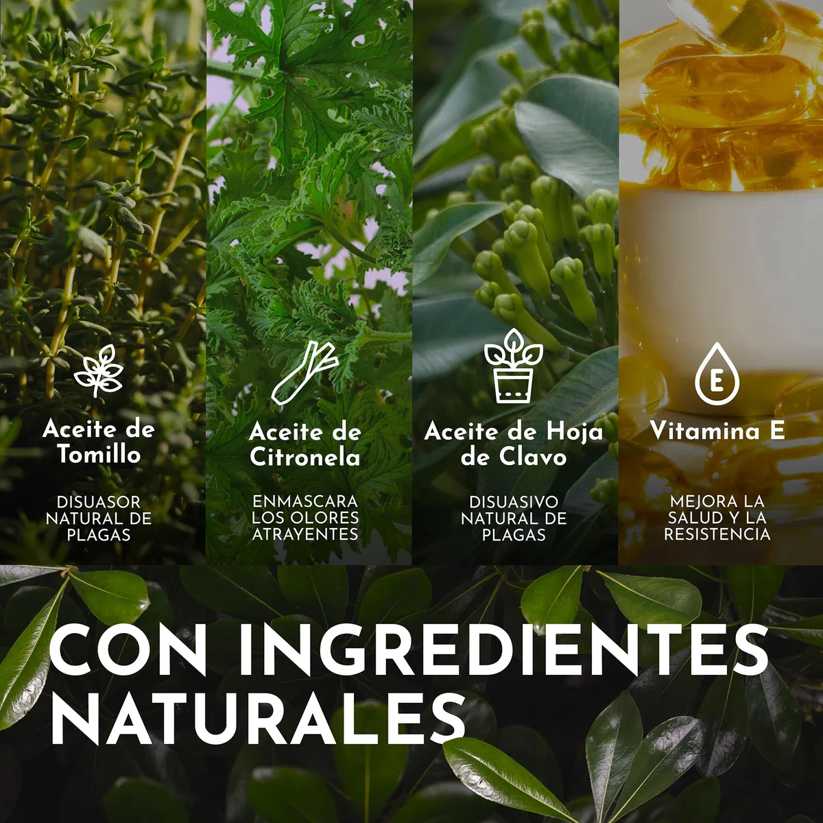 Spray Repelente Orugas con Aceite de Citronela - Fácil de Usar - 500ml - Actúa Contra Oruga, Polillas, Pulgones - Seguro para Mascotas - Alternativa a Insecticida Orugas