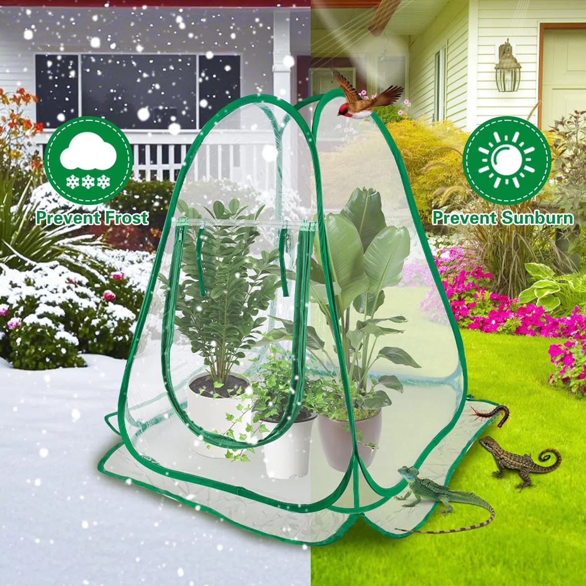 Mini Invernadero Pop Up, Transparente PVC para Exteriores, Tienda de Campaña de Protección para Plantas (70 x 70 x 80 cm)