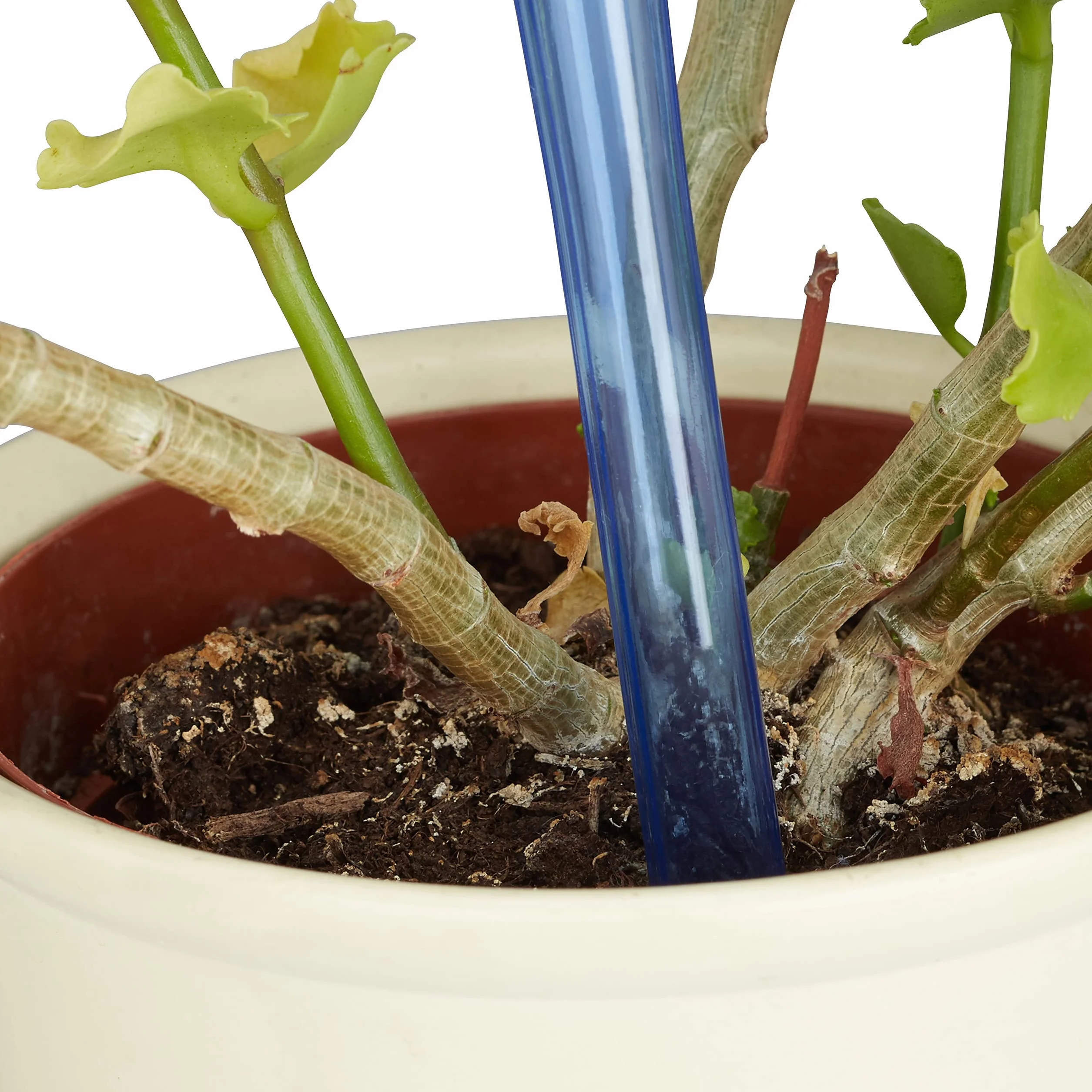 Relaxdays Set Autorriego para Macetas, Plástico, 4 Unidades, Riego Dosificado de Plantas 2 Semanas, Plástico, Azul